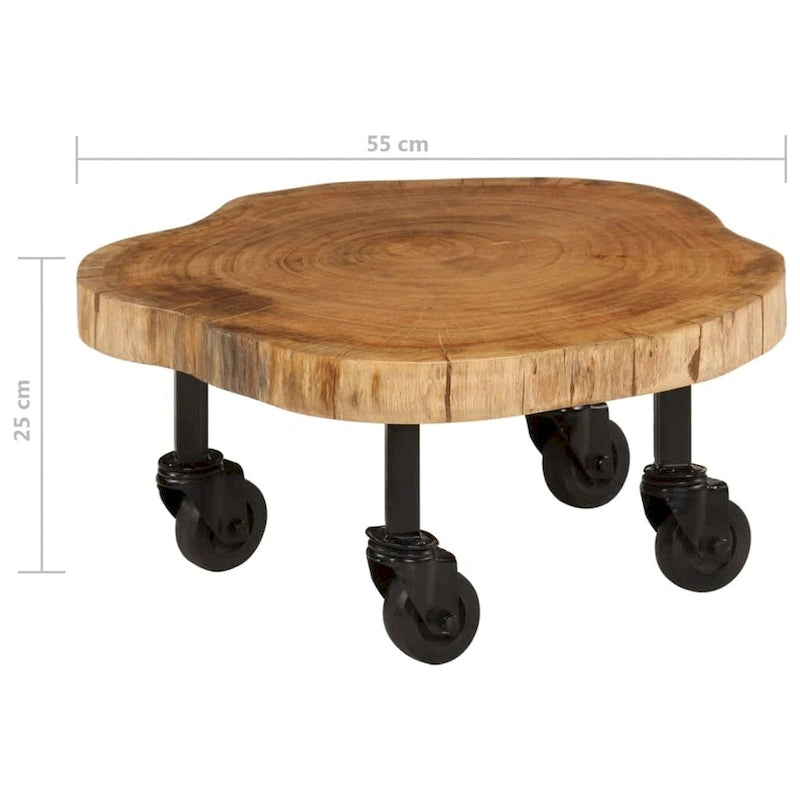 vidaXL Table basse Bois massif d'acacia 23,6x21,7x9,8